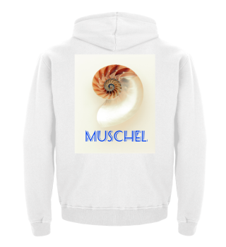 MUSCHEL shell STRAND SOMMER SAND
