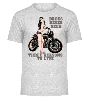 Beer Bikes Babes Shirt three Reasons 2 l