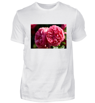T-Shirt mit Rosen Aufdruck