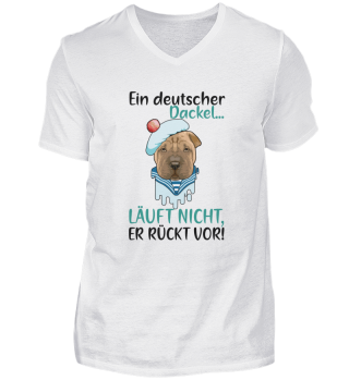 Ein Deutscher Dackel | Dackel | Hund