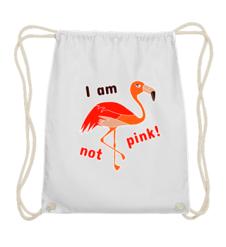 Flamingo - I am not pink