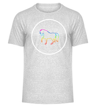 rainbow horse circle