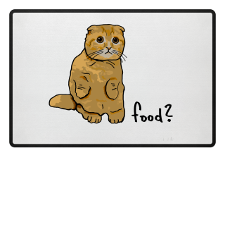 Cute Cat asks for Food