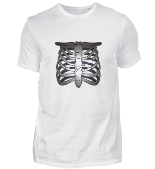 Skelett des Brustkorbes
