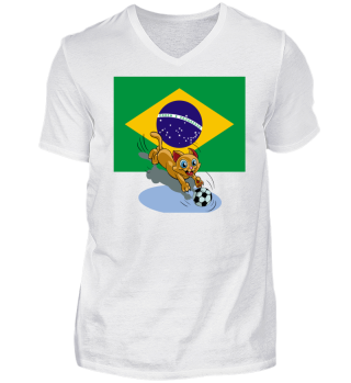 Brazil soccer cat