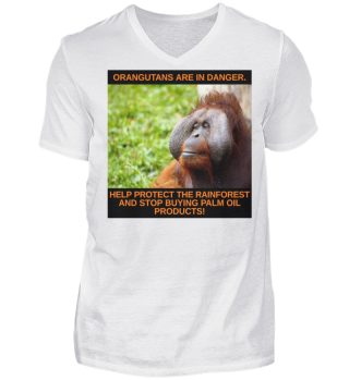 Orangutans are in danger!