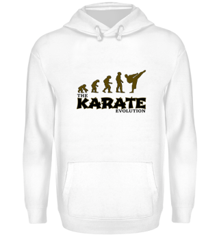 Karate Evolution
