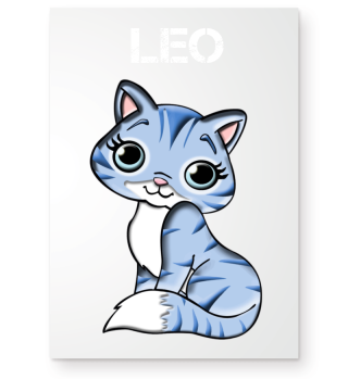 Katze Leo cat Leo