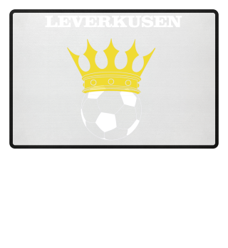 Fussball Leverkusen