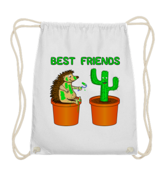 hedgehog & cactus best friends