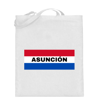 Asunción City in Paraguay Flag