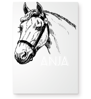 Pferd Name Anja Reiten Springen