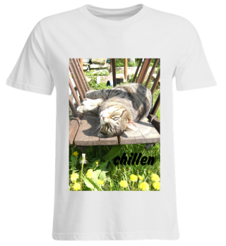 T-Shirt Übergrößer Katze und vieles mehr...