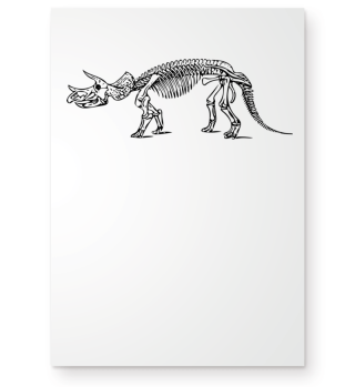 Dinosaurier- Dino - Skelett