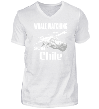 Whale Watching Chile 2018