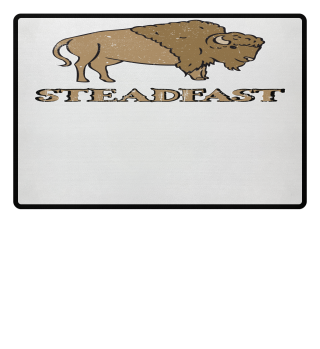 Steadfast Bison Buffalo