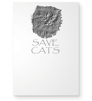 Save Cats Kitten Kitty