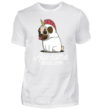Awesome Since 2019 Funny Gift