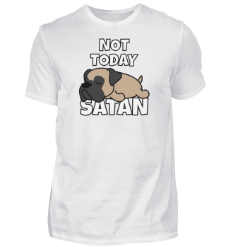 Not Today Satan Känguru