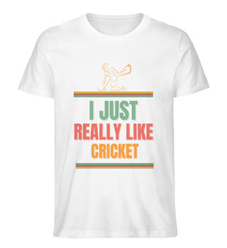 really like cricket