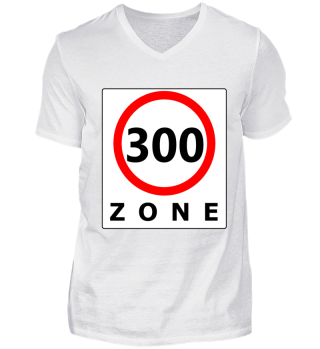 Straßenschild 300 Zone