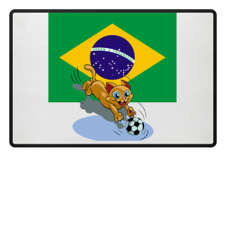 Brazil soccer cat
