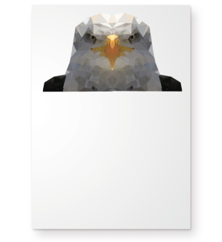 Weißkopfseeadler Eagle