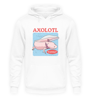 Axolotl Amphibien Schwanzlurch Axolotls