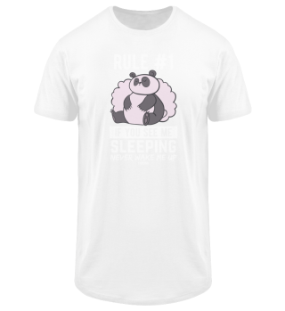Panda sleepily do not wake sleep