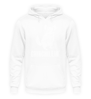 Chinchilling Chinchilla Chinchillas