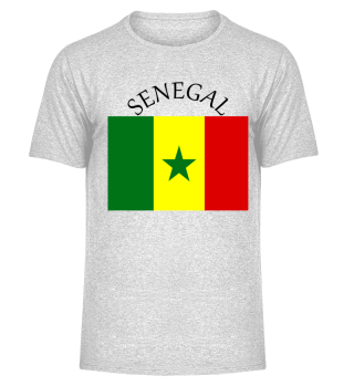 Fußball -DEUTSCHLAND-Senegal