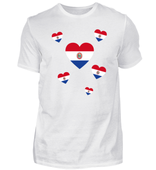 roots home country wurzeln geschenk Paraguay