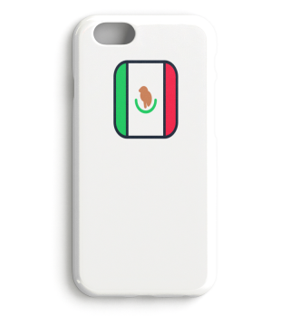  EM Flagge Mexiko