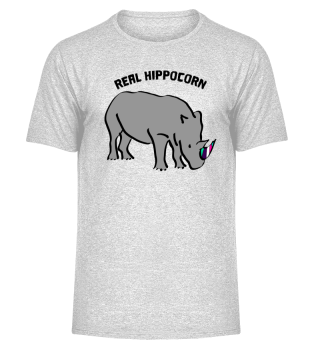 Unicorn Hippo real rainbow