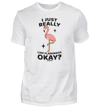 I Just Really Like Flamingos Okay?