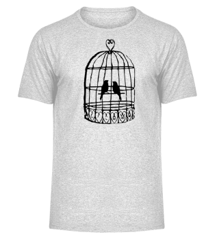 Love Bird in Cage