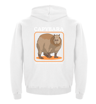 Capybara Wasserschwein Capybaras