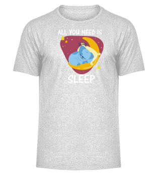 All you need is sleep koala pillow moon 