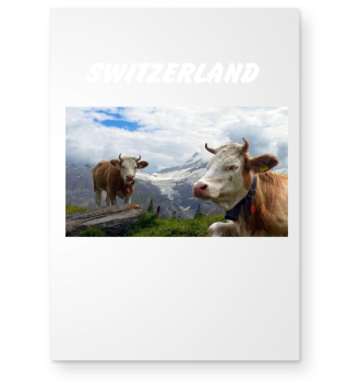schweiz, 2kühe, switzerland, geschenk