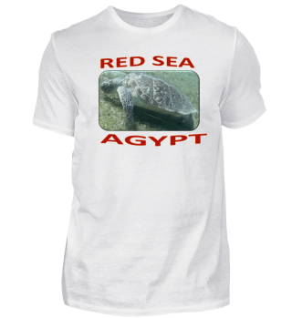 Red Sea Agypt - Turtle