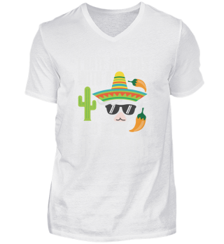 Alpaca Sombrero Saying | Mexico No Juan