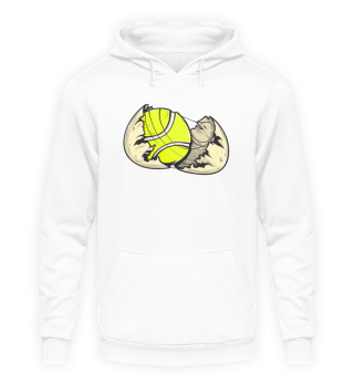 Tennis Tennisball Tennisspieler