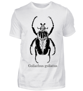 Goliathkäfer Geschenkidee Käfer