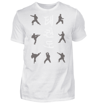 Taekwondo Techniken t-Shirt