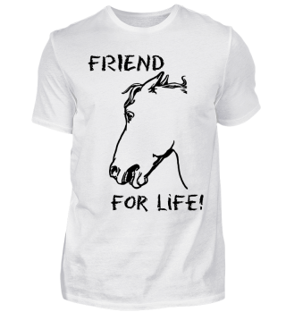 Friend for life! Pferde Geschenkidee 