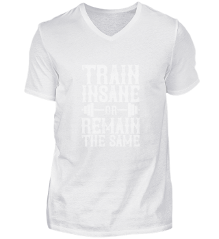 Train insane or remain the same