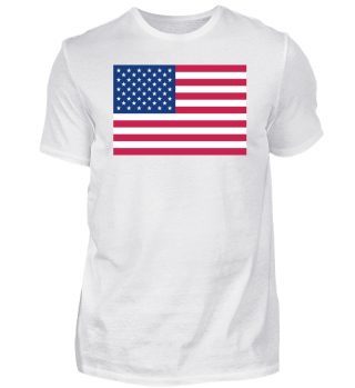 American / USA flag / Stars and Stripes