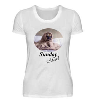 Süßer Hund (Sunday Mood)