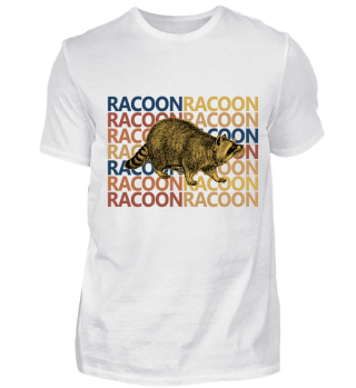 Racoon 