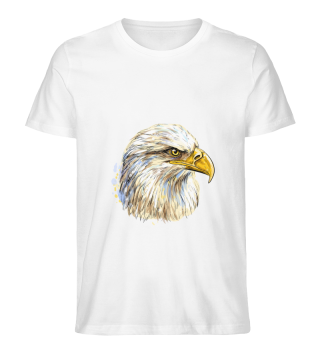 Eagle sea eagle hawk eagle head predator